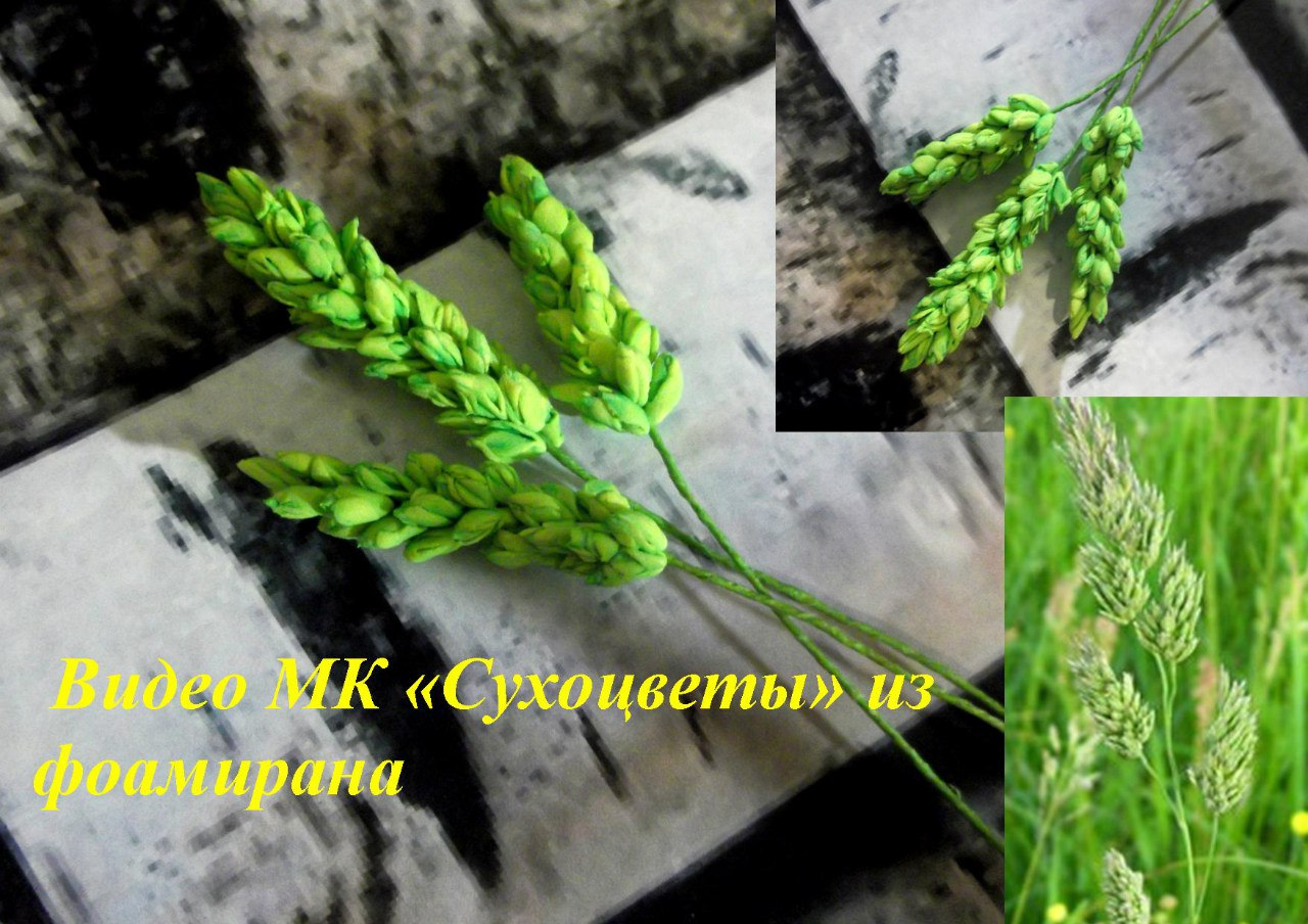 Сухоцветы из фоамирана - Мирсанова (2016)_0.jpg